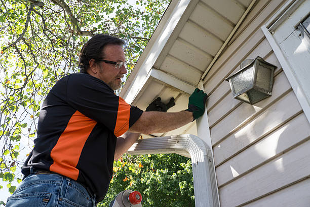 Best Steel Siding Installation  in Parma Heights, OH